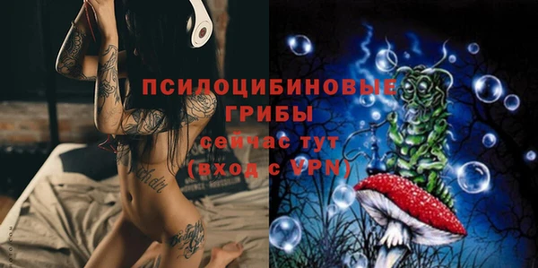 гидропоника Абдулино
