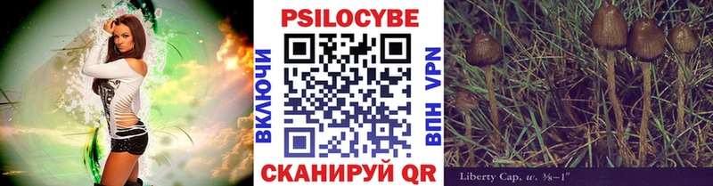 Галлюциногенные грибы прущие грибы  купить   гидра как зайти  Берёзовка 