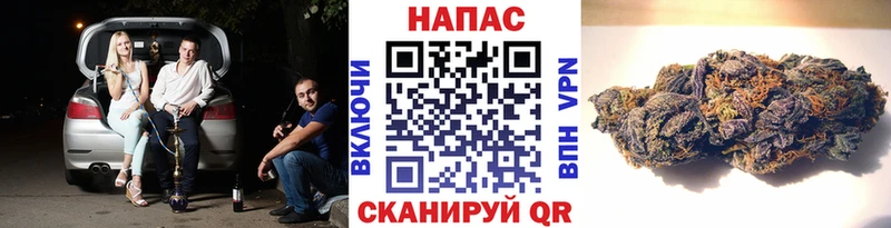 Марихуана план Берёзовка